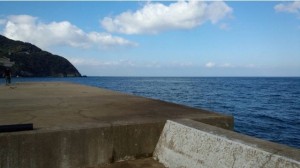 ワタナベ20150920