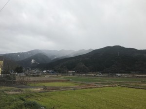 IMG_5378