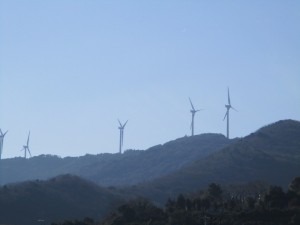 IMG_2175
