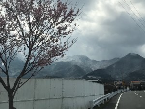 IMG_5557[1]