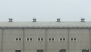IMG_5896